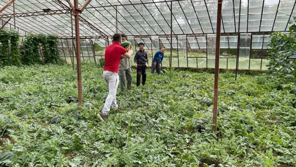 Erkenci-Karpuz-1jpg_20230419135451958.webp
